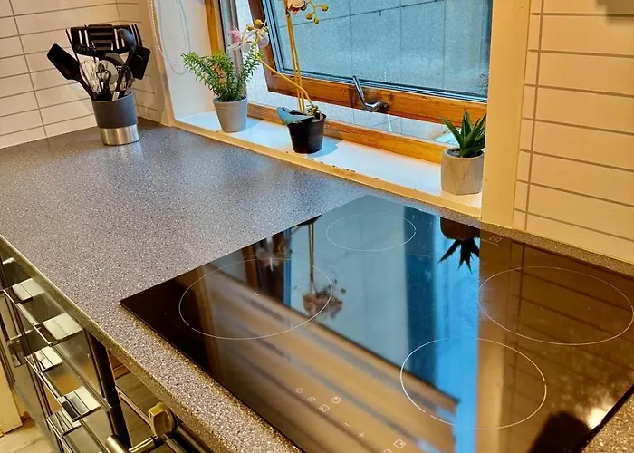 Storgata150 Andre Etasje 公寓 特罗姆瑟